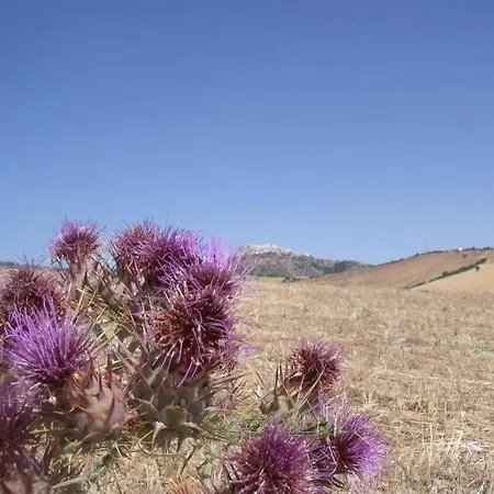 Casa Delle Stelle Vista Alto Ionio - Nova Siri Piano di Santa Laura